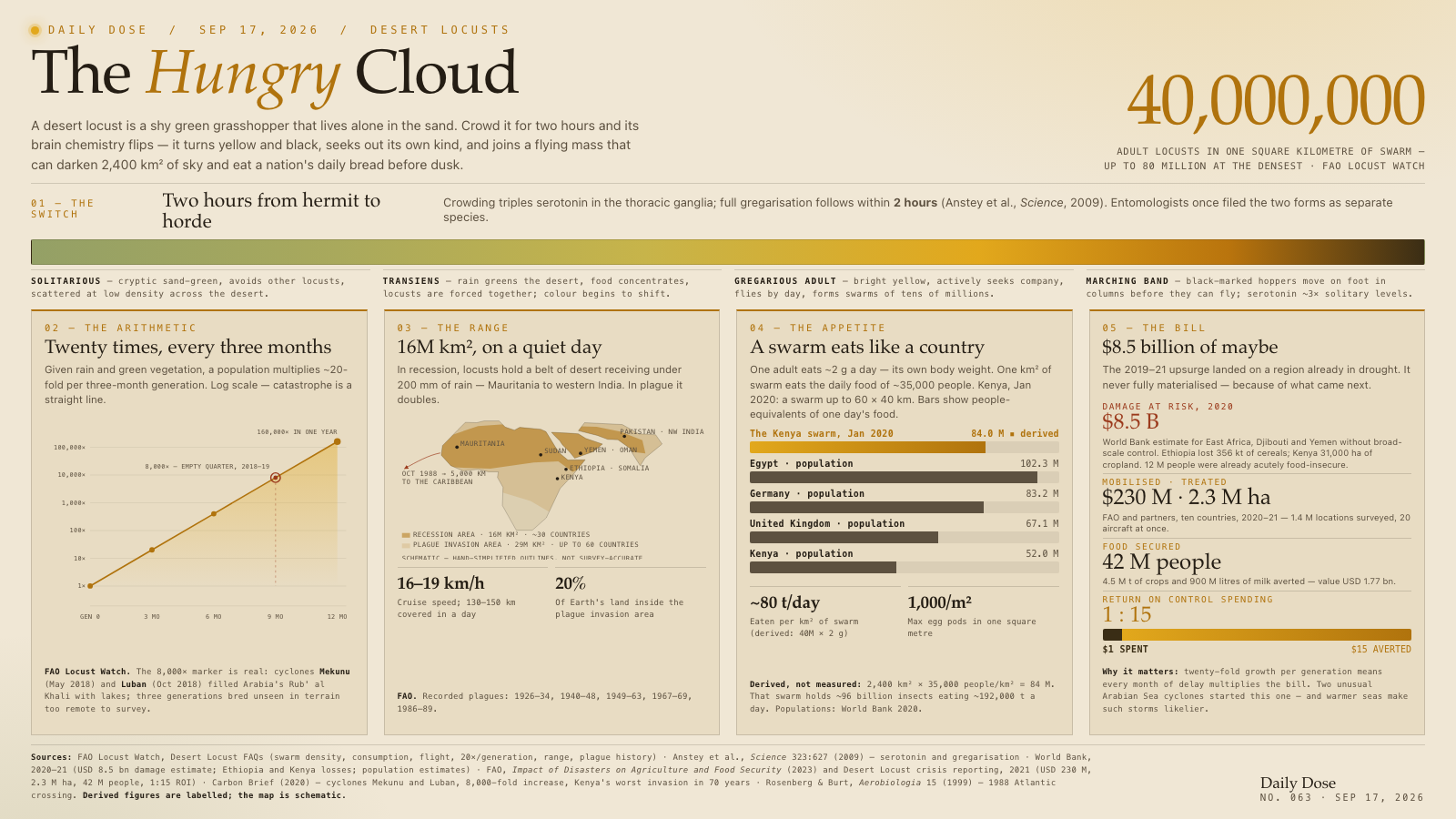 The Hungry Cloud
