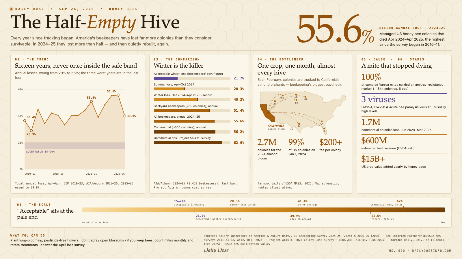 The Half-Empty Hive