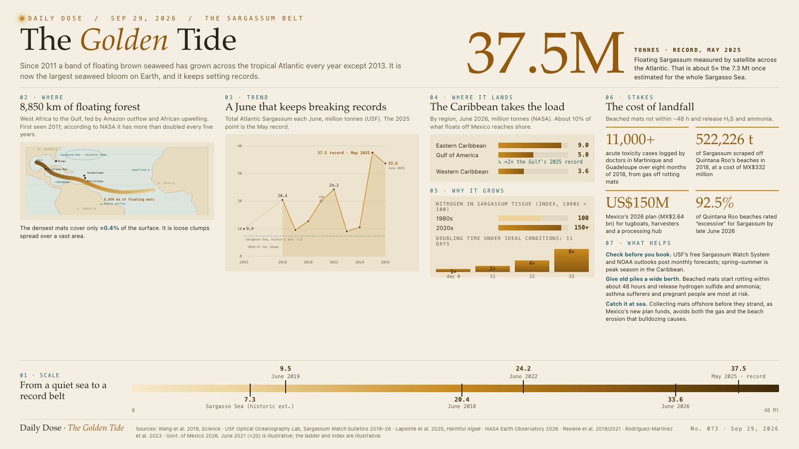 The Golden Tide
