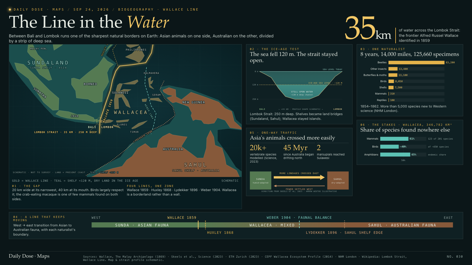 The Line in the Water