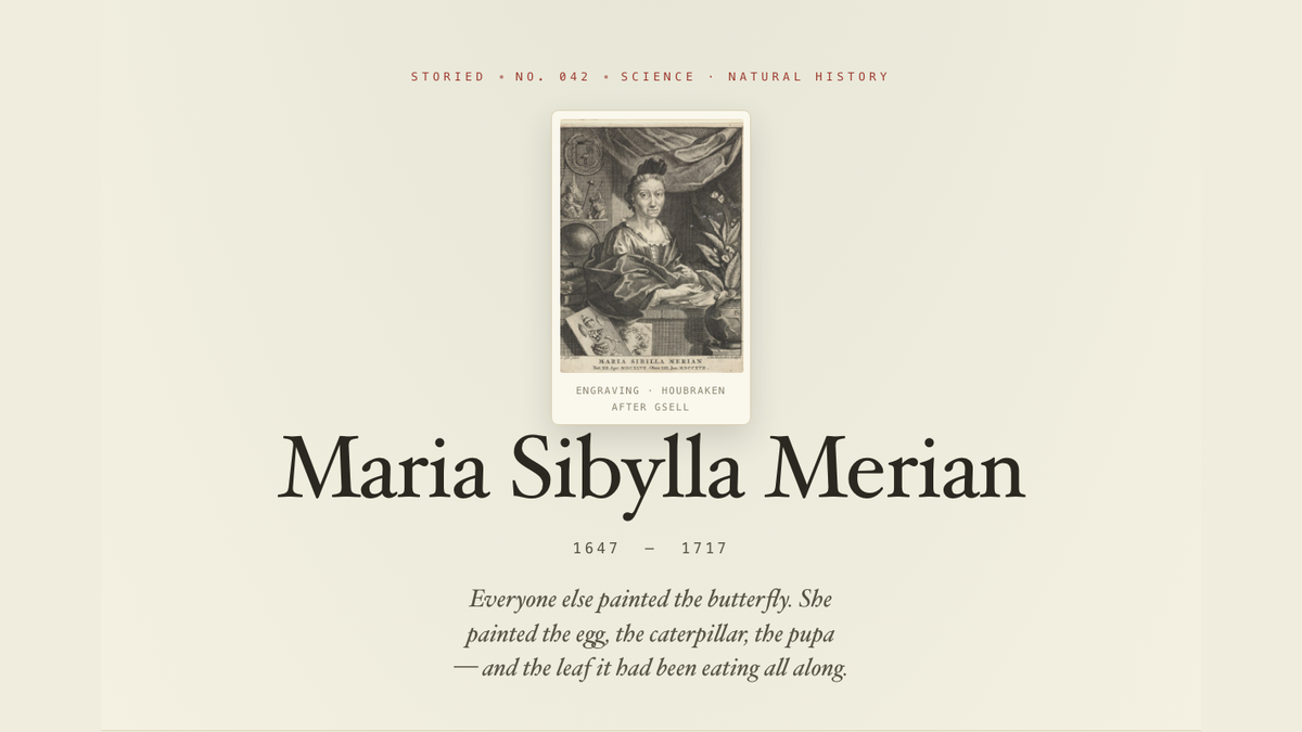Maria Sibylla Merian