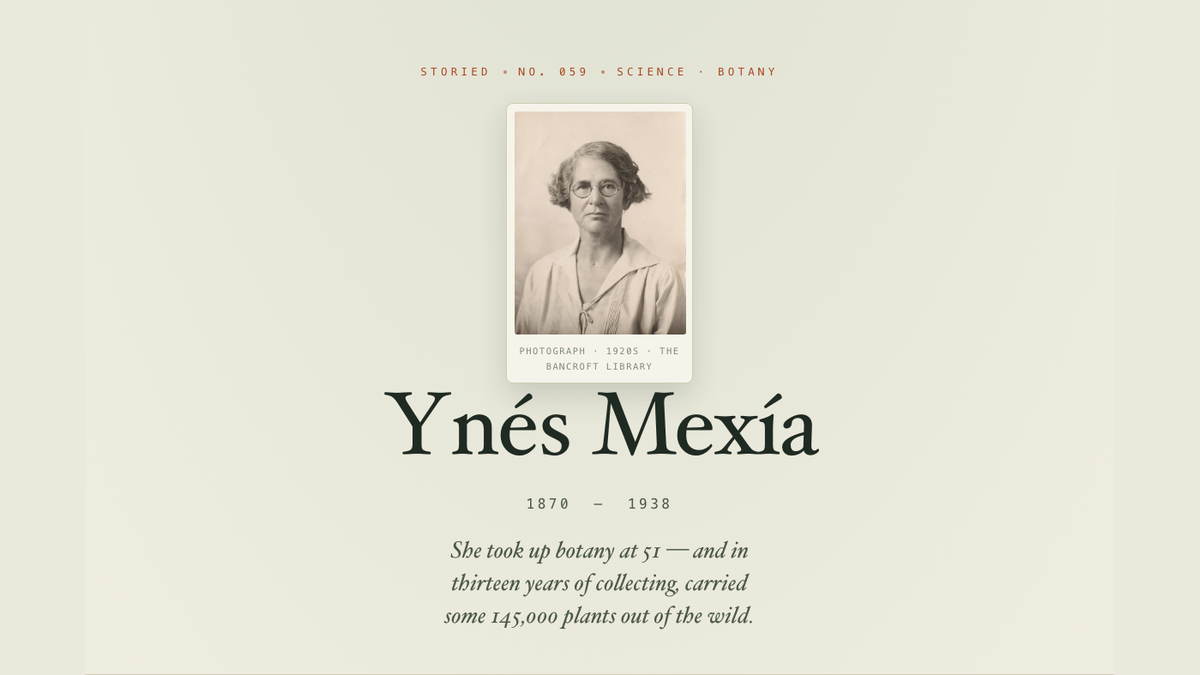 Ynés Mexía